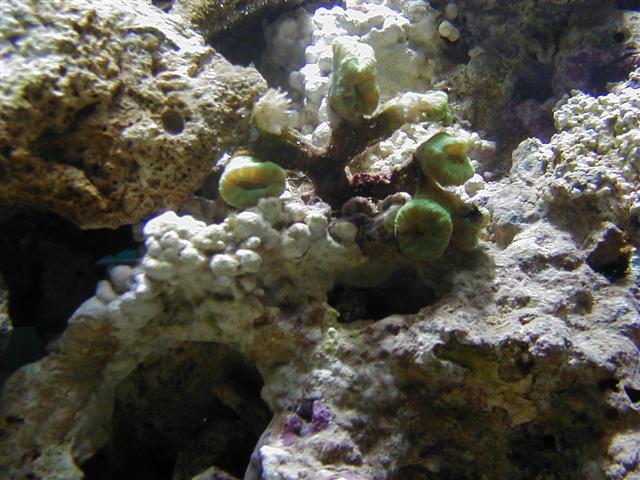 P1010057 (Small).JPG