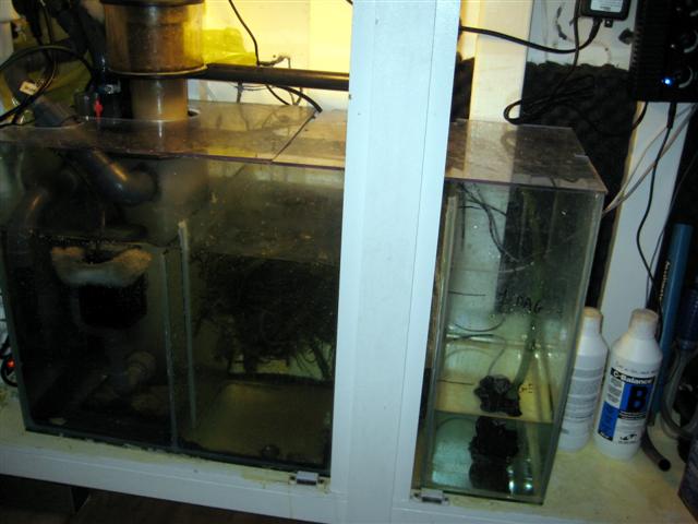 Sump