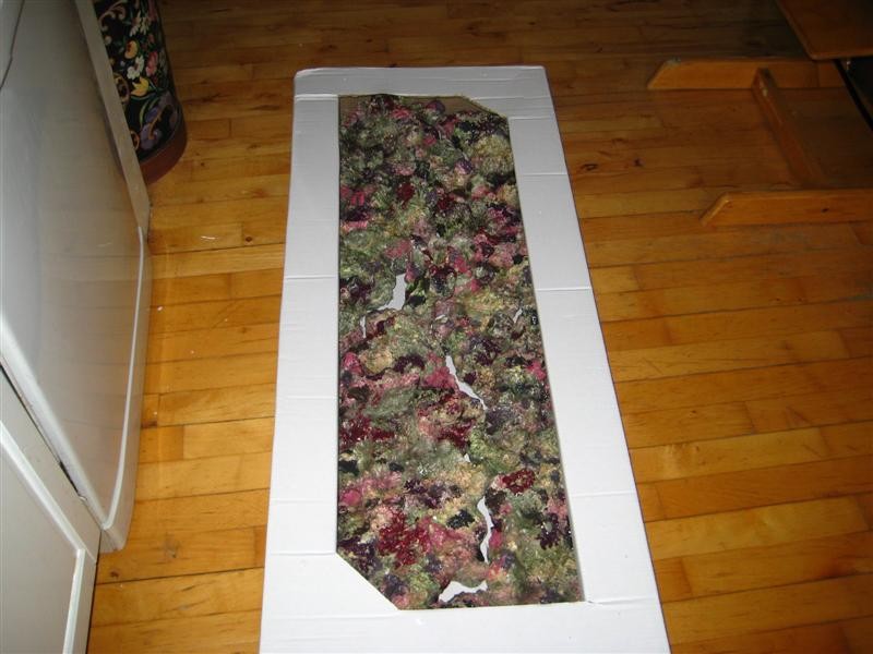 Reef Baggrunden