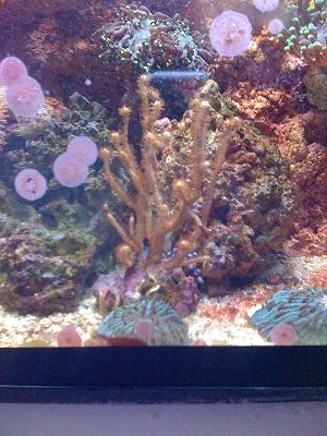 IMG_0161.JPG