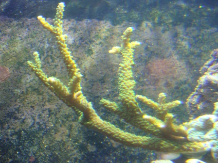 DSC01786.JPG