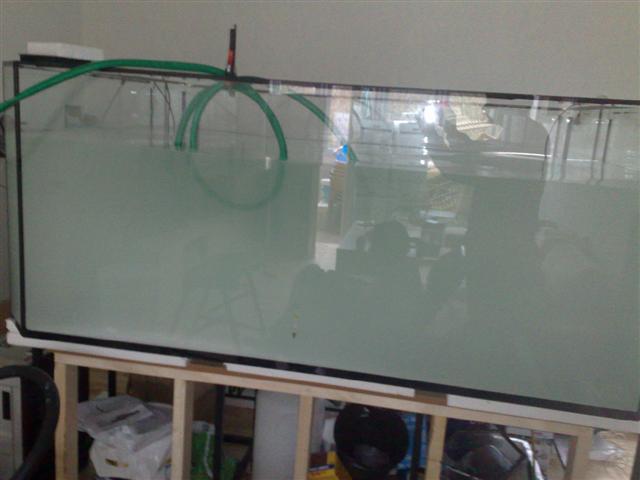 091220081328.jpg