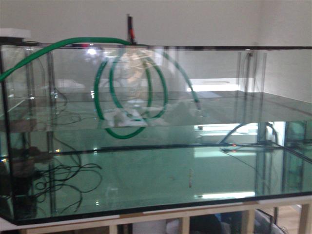 091220081319.jpg