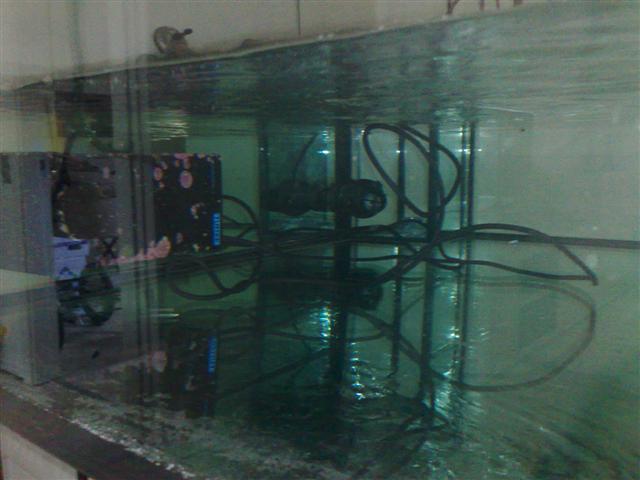 091220081318.jpg
