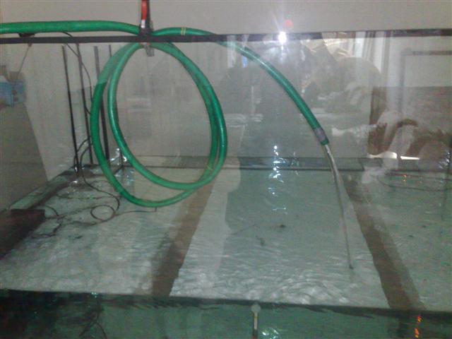 091220081317.jpg