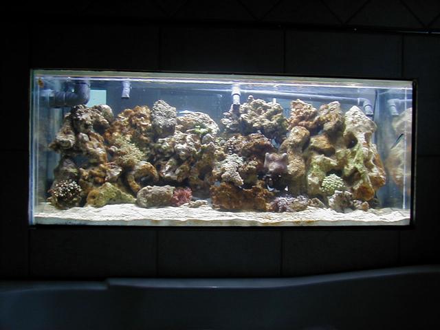 P1010070 (Small).JPG