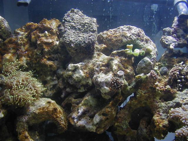 P1010069 (Small).JPG