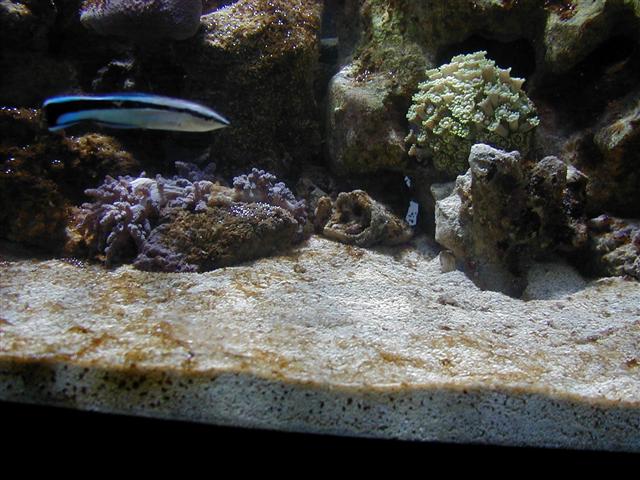 P1010068 (Small).JPG