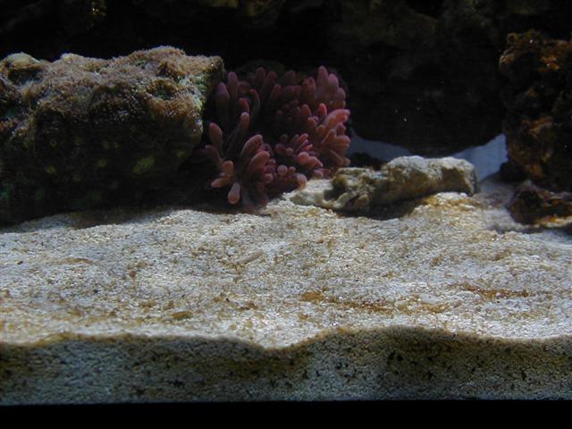 P1010066 (Small).JPG