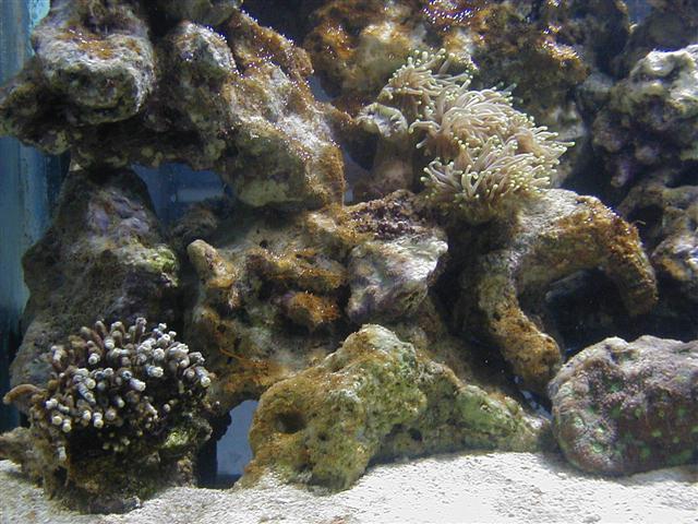 P1010065 (Small).JPG