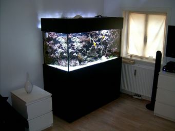 220980_HPIM1307.jpg