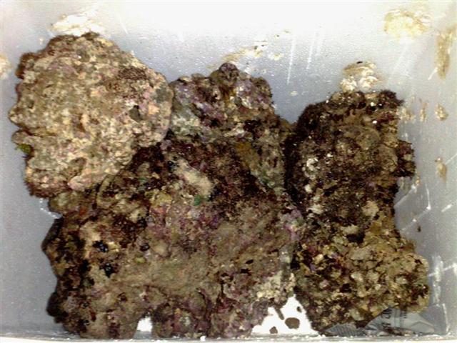 131220081494 (Medium).jpg