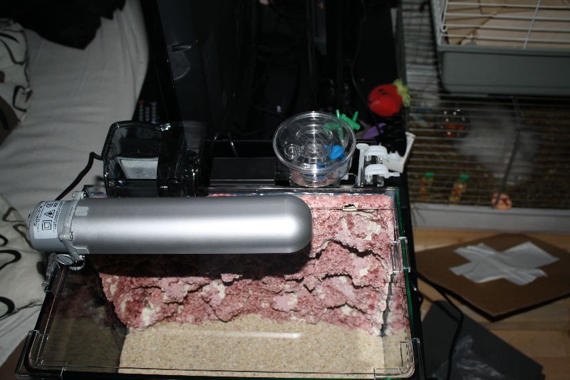 Billede 070.jpg