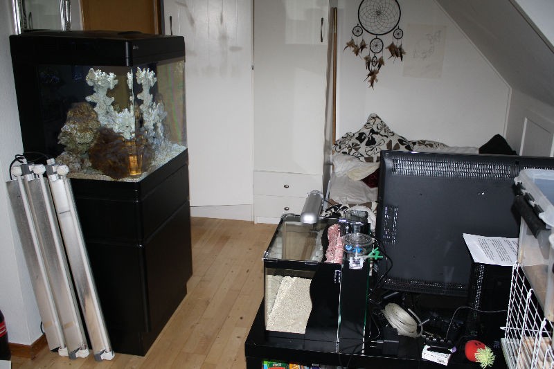 Billede 072.jpg