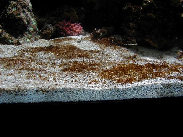 P1010074 (Small).JPG