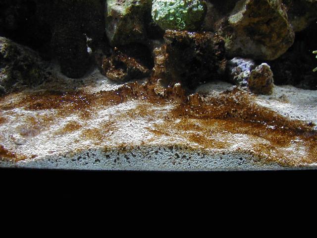 P1010072 (Small).JPG