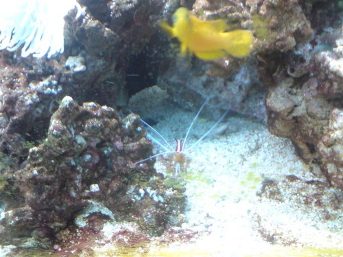 DSC00435 (Large).JPG