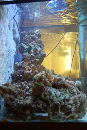 DSC_0007157.jpg