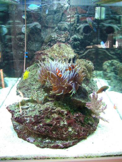 DSCF2134.JPG