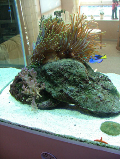 DSCF2132.JPG