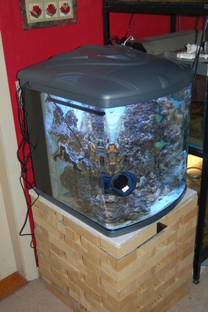 DSC_0007244.jpg