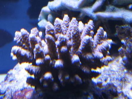 IMG_6632.JPG