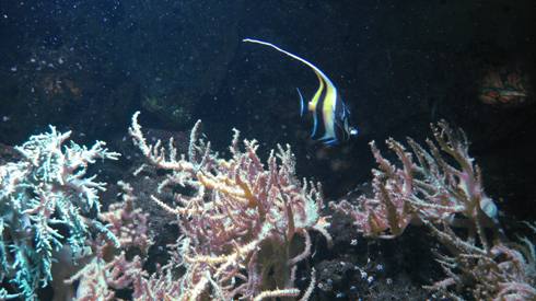 IMG_2427.JPG