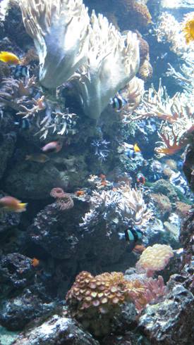 IMG_2524.JPG