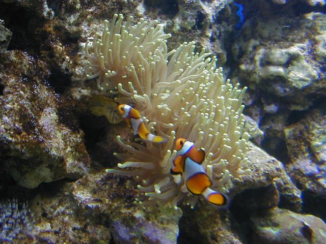 P1010009 (Small).JPG