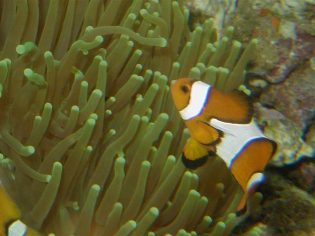 P1010008 (Small).JPG