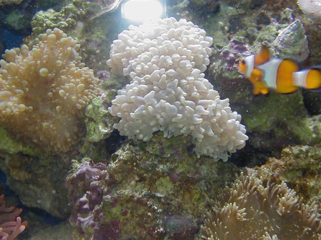 P1010006 (Small).JPG