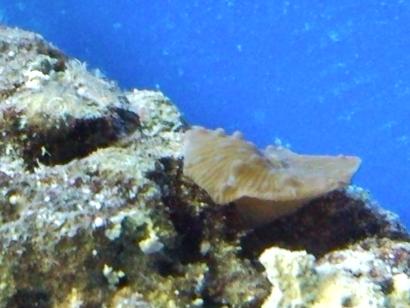 SNC00059.jpg