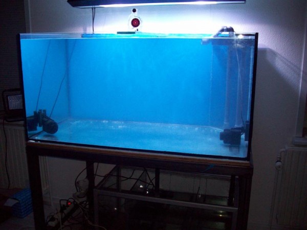 morten 001 (Medium).jpg