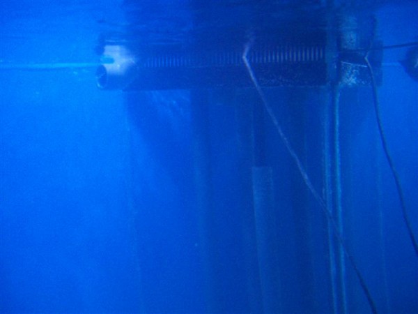 morten 004 (Medium).jpg