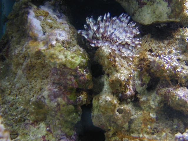 P1010031 (Small).JPG