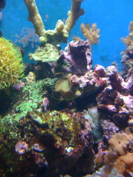 IMG_0278.JPG
