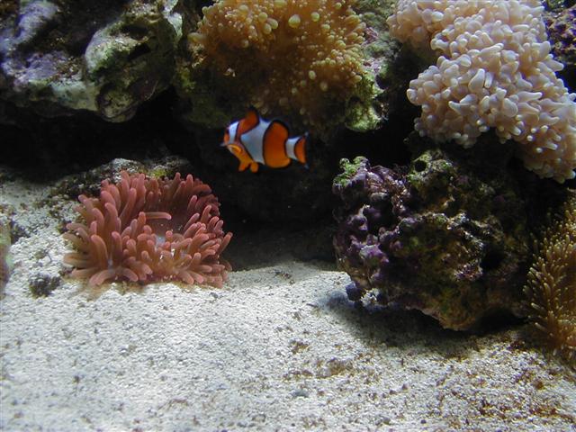 P1010030 (Small).JPG