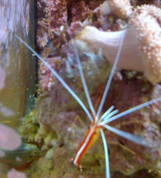 IMG_0195.JPG