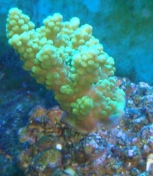 P1130025.JPG