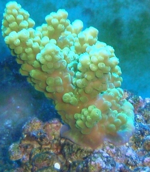 P1130027.JPG