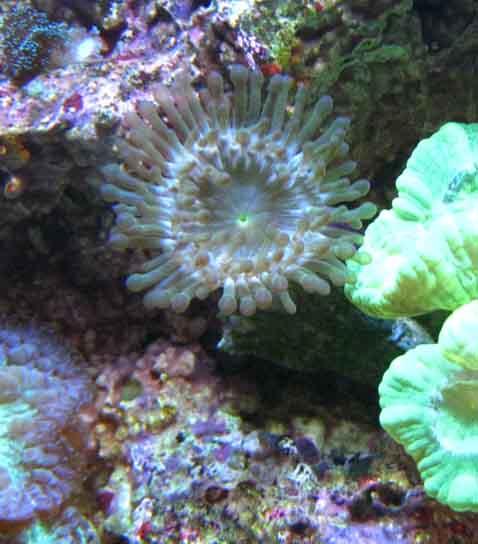 IMG_1507.jpg