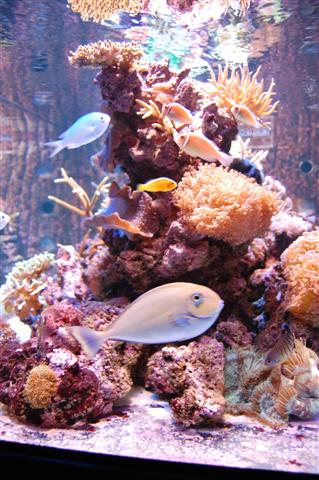 DSC_0369 (Small).JPG