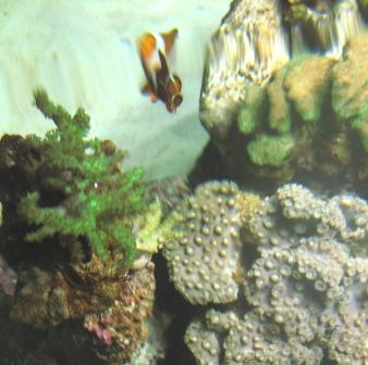 IMG_6676.JPG