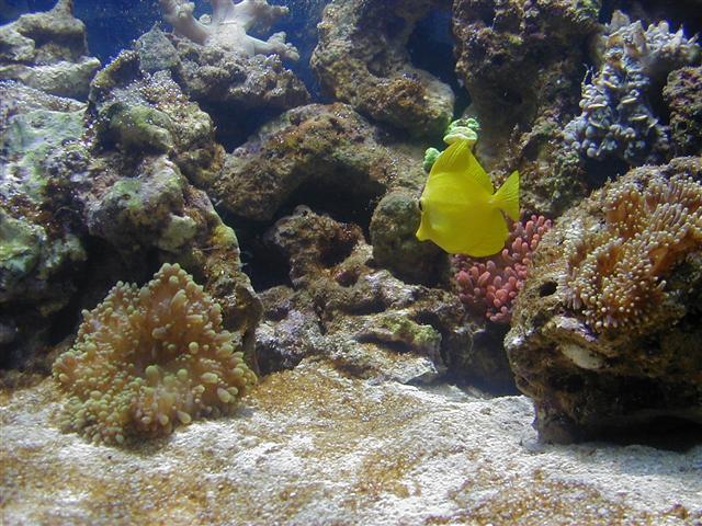 P1010011 (Small).JPG