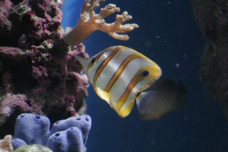 _MG_9585.JPG