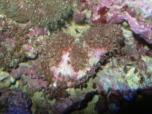 n539379100_1166686_5068.jpg
