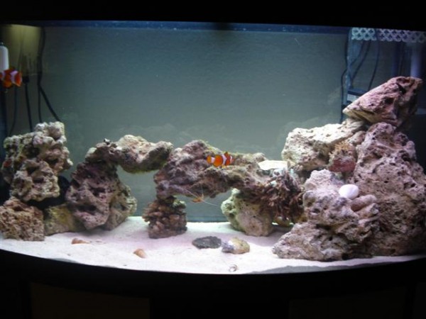 DSC00946 (Small).JPG