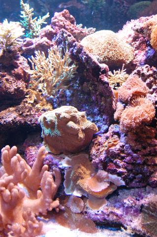 DSC_0002 (Small).JPG