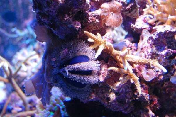 DSC_0011 (Small).JPG