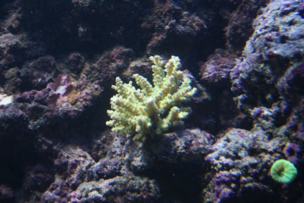 IMG_1662.jpg